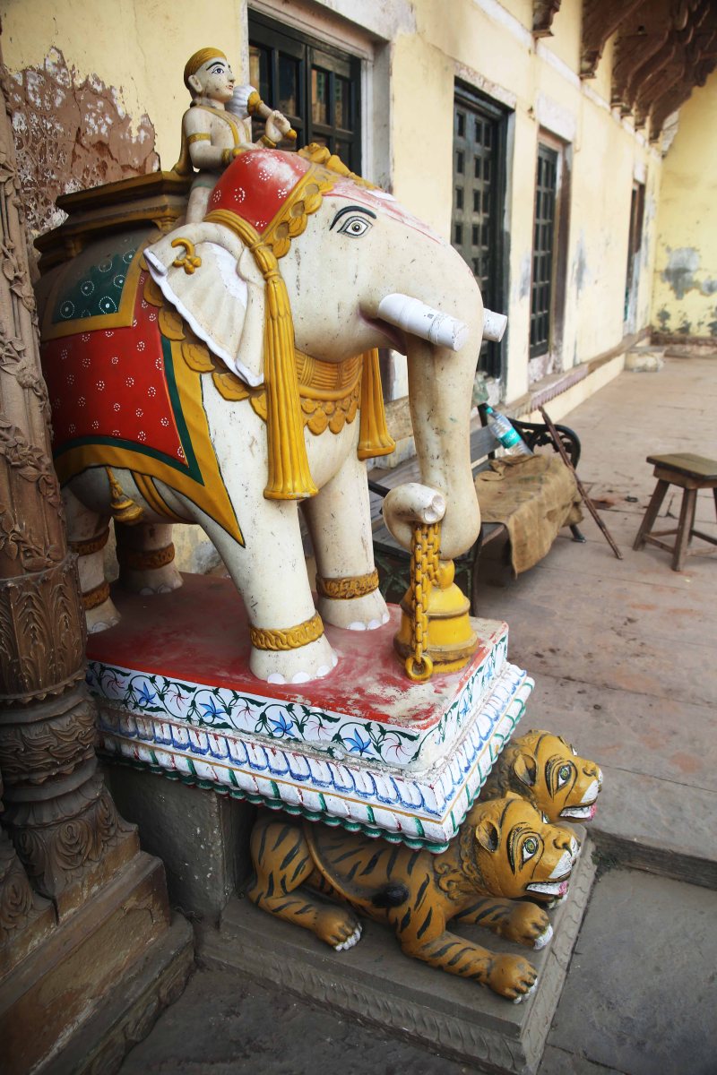 VNS ramnagar elephent