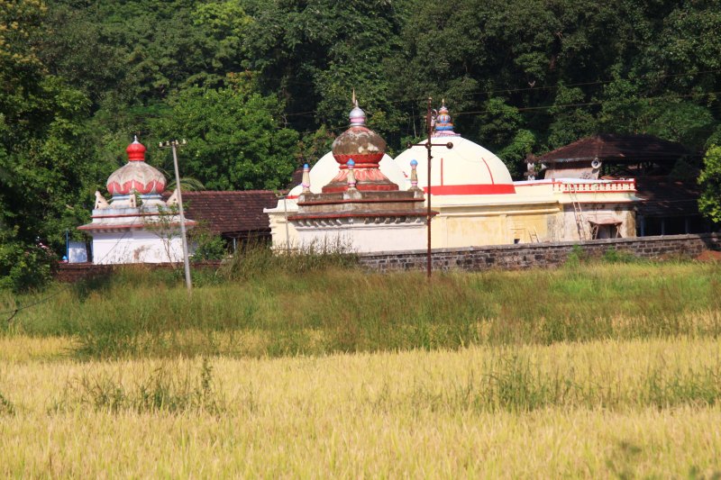 koleshwar from field