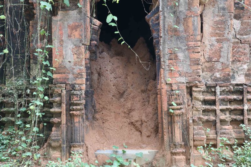 16 Bishnupur termite hill