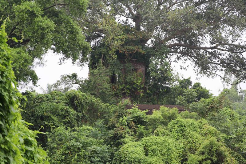 19 Bishnupur fort
